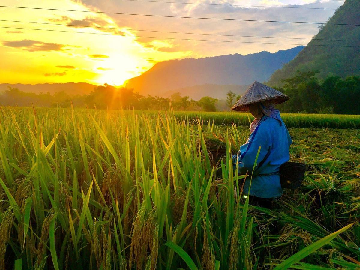 Eco Homestay ไหมโจ๋ว ภายนอก รูปภาพ