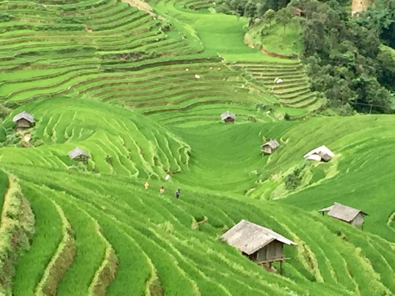 Eco Homestay ไหมโจ๋ว ภายนอก รูปภาพ