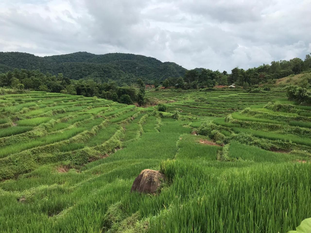 Eco Homestay ไหมโจ๋ว ภายนอก รูปภาพ