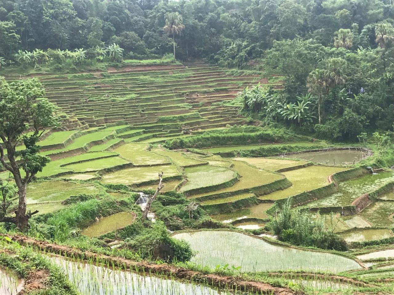 Eco Homestay ไหมโจ๋ว ภายนอก รูปภาพ